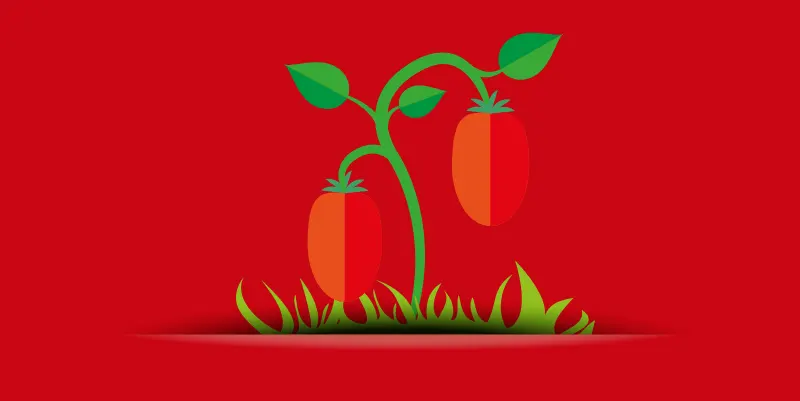 Pomodori Pelati Rosso Gargano 3/1 (ct 6 pz) - Adriamarket Pelati e conserve  di pomodoro