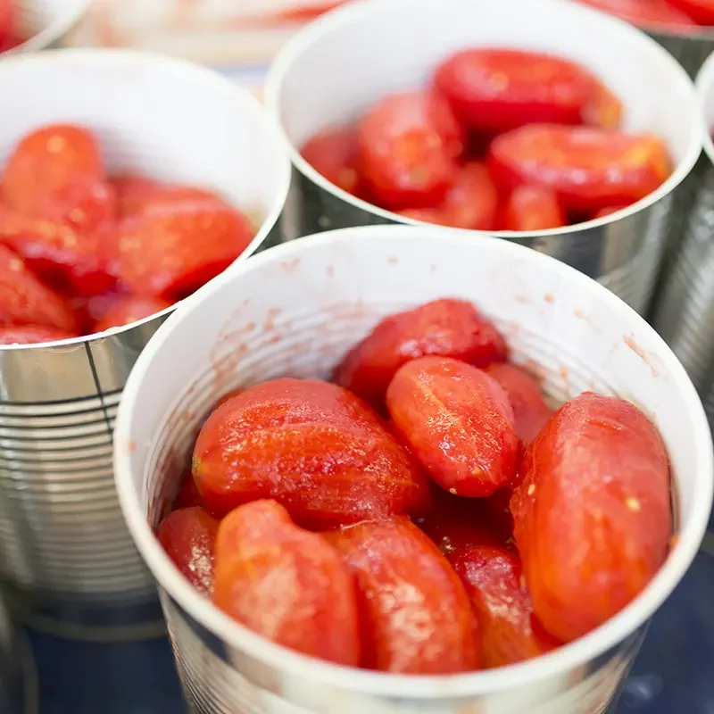 lavorazione-pomodori-3